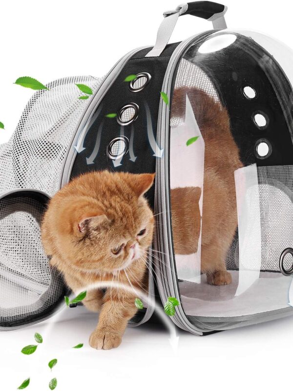 Pet Carrier Backpack